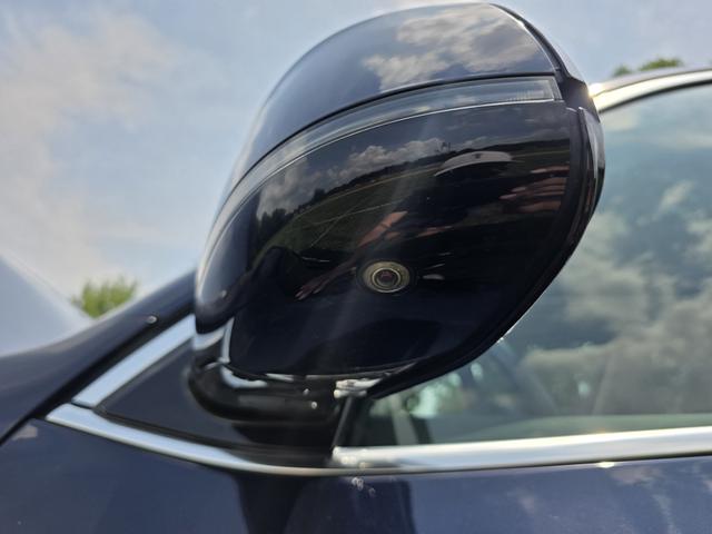 Photo of 2015 Blue BMW X5