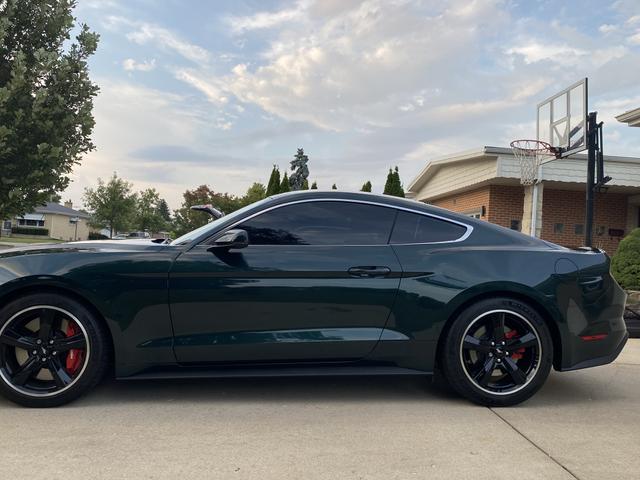 Photo of 2019 Green Ford Mustang