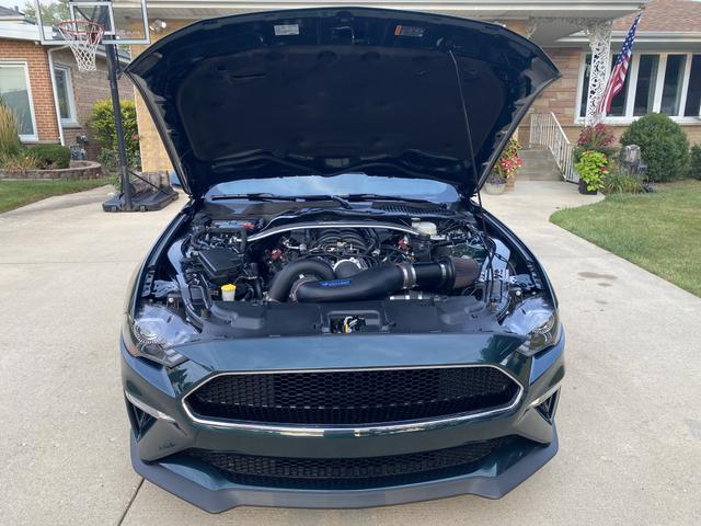 Photo of 2019 Green Ford Mustang