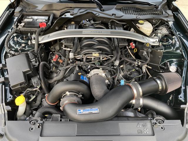 Photo of 2019 Green Ford Mustang