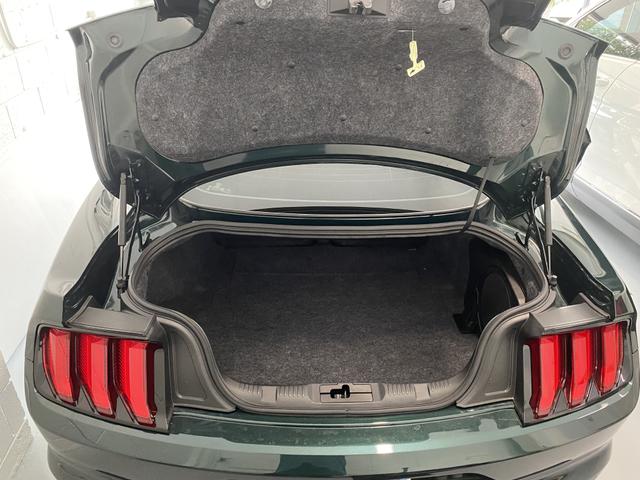 Photo of 2019 Green Ford Mustang