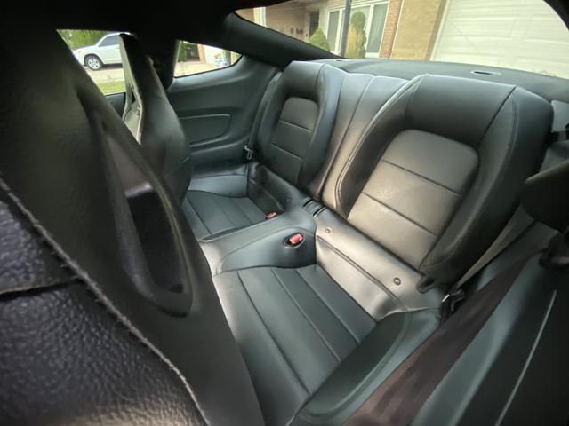 Photo of 2019 Green Ford Mustang
