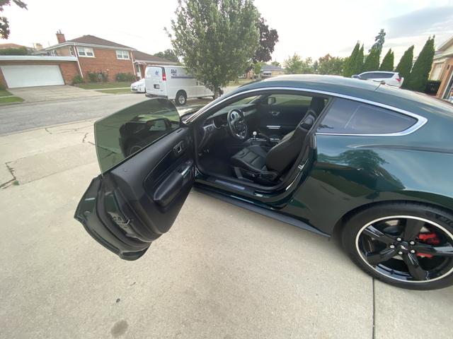 Photo of 2019 Green Ford Mustang