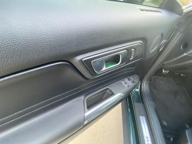 Photo of 2019 Green Ford Mustang