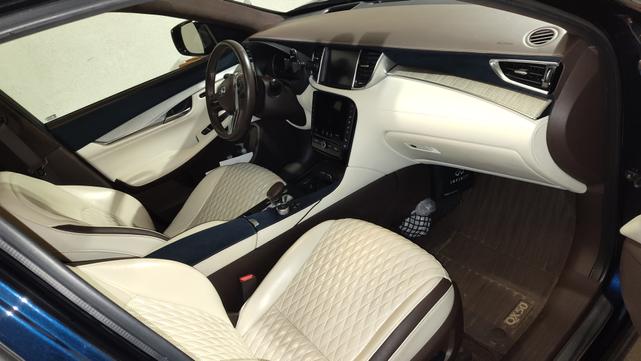 Photo of 2019 Blue INFINITI QX50