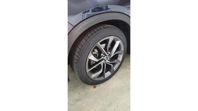Photo of 2019 Blue INFINITI QX50