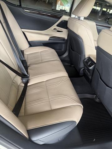 Photo of 2019 Beige Lexus ES 300h