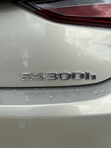 Photo of 2019 Beige Lexus ES 300h
