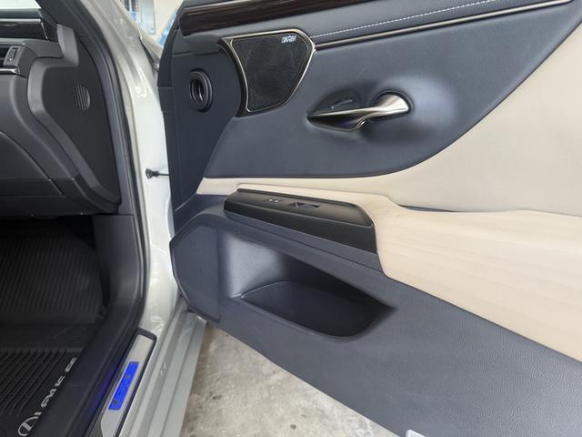 Photo of 2019 Beige Lexus ES 300h