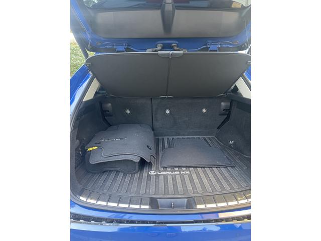 Photo of 2022 Blue Lexus NX 450h+