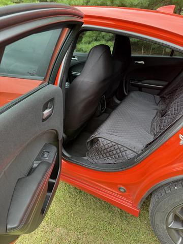 Photo of 2018 Orange Dodge Charger