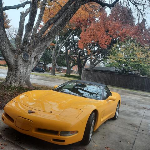 Photo of 2002 Yellow Chevrolet Corvette