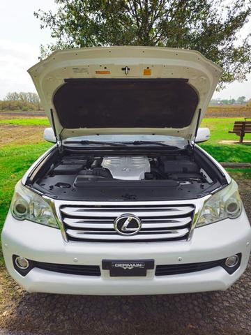 Photo of 2011 White Lexus GX 460