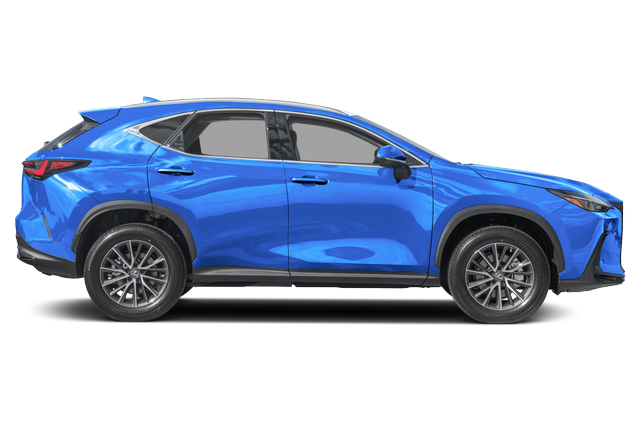 2025 Lexus NX 250