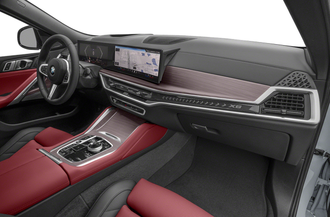 2025 BMW X6
