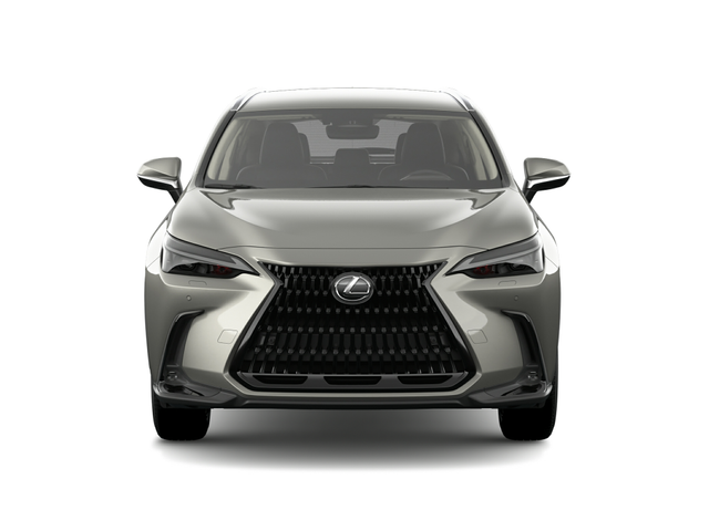 2024 Lexus NX 250