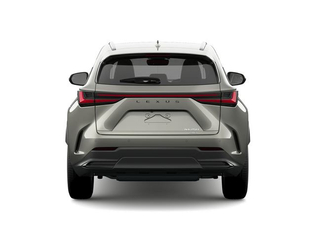 2024 Lexus NX 250
