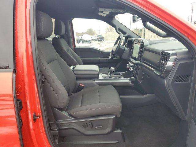 used 2023 Ford F-150 car