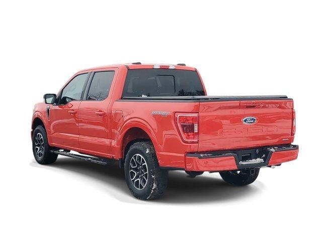 used 2023 Ford F-150 car