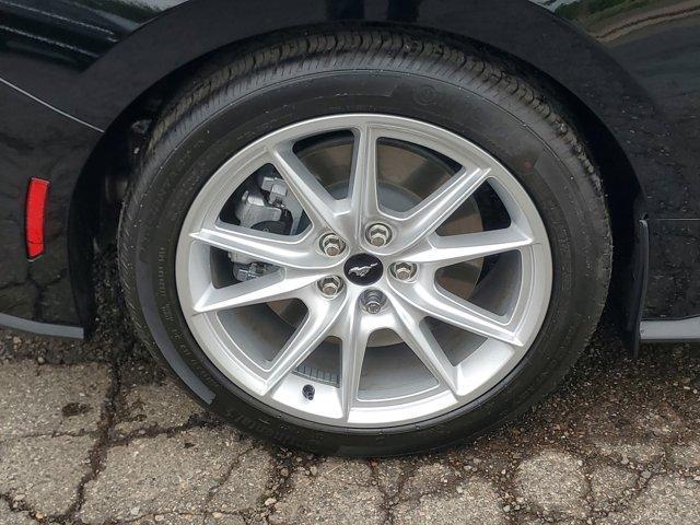 used 2024 Ford Mustang car