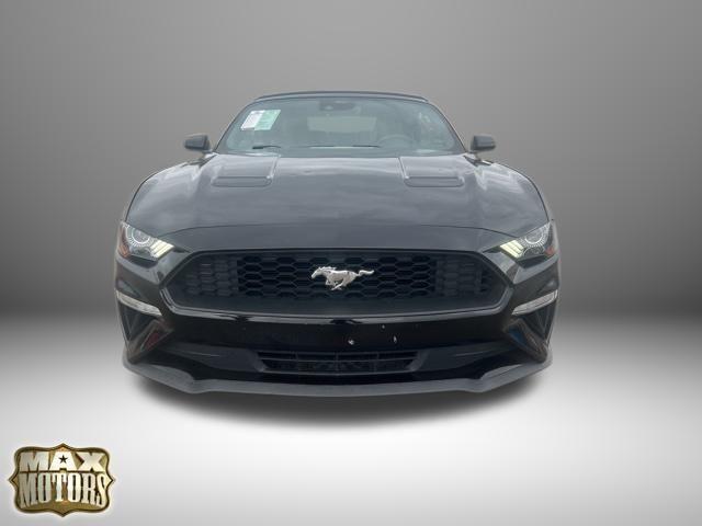 used 2022 Ford Mustang car, priced at $19,500