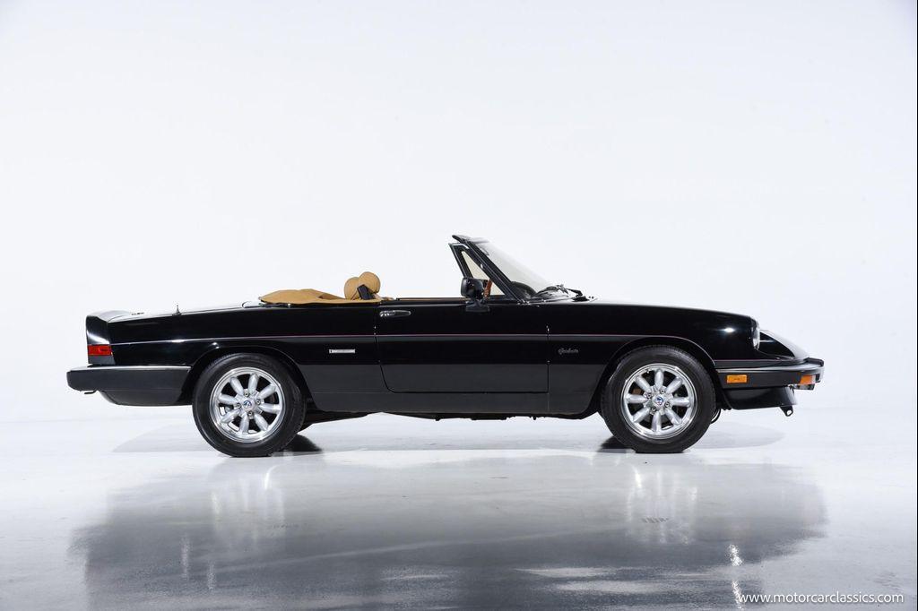 used 1988 Alfa Romeo Spider car, priced at $34,900
