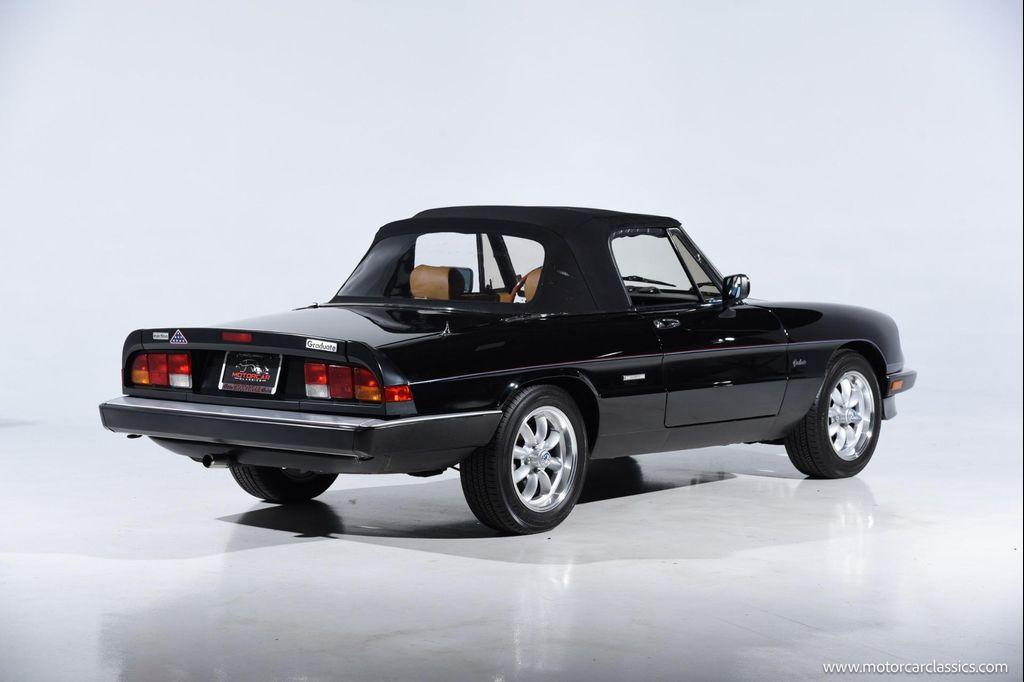 used 1988 Alfa Romeo Spider car, priced at $34,900