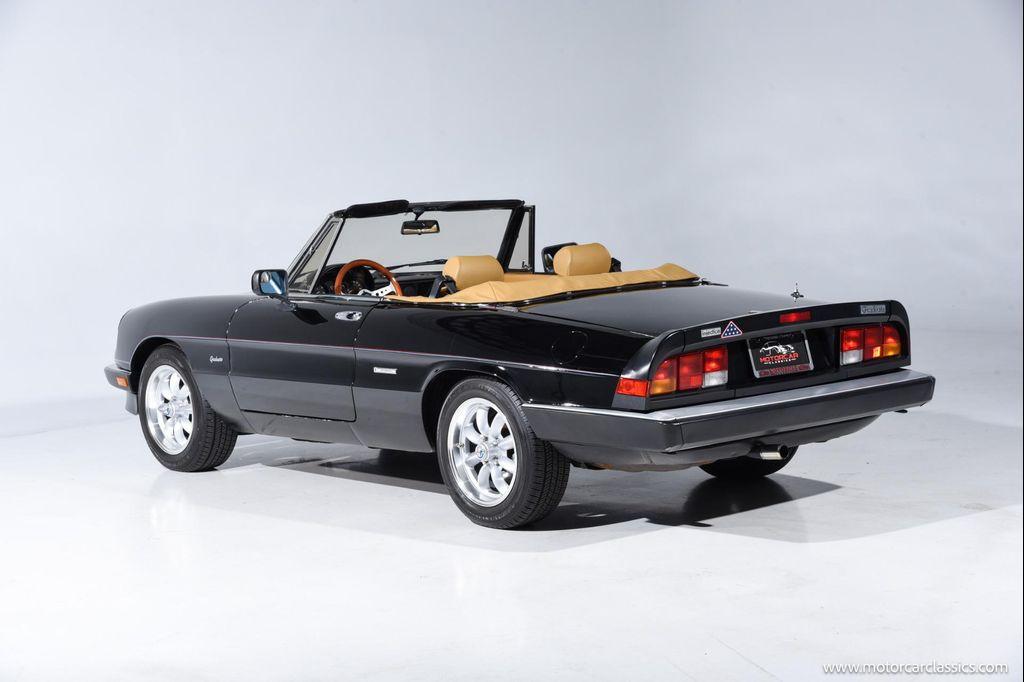 used 1988 Alfa Romeo Spider car, priced at $34,900