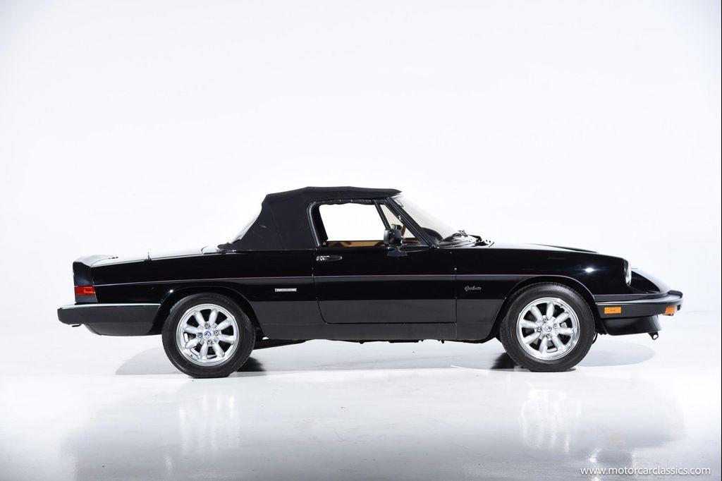 used 1988 Alfa Romeo Spider car, priced at $34,900