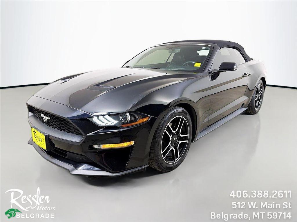 used 2019 Ford Mustang car, priced at $19,890