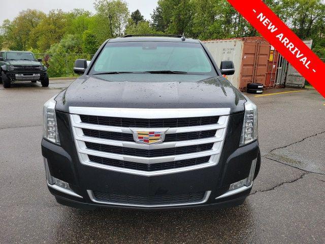 used 2016 Cadillac Escalade car, priced at $19,000