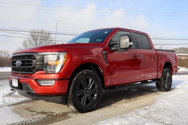 used 2023 Ford F-150 car, priced at $39,900