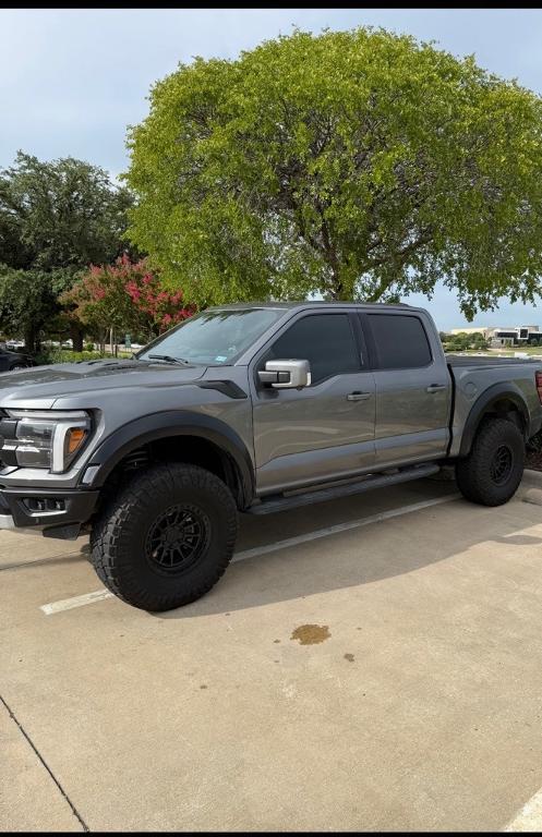 used 2024 Ford F-150 car
