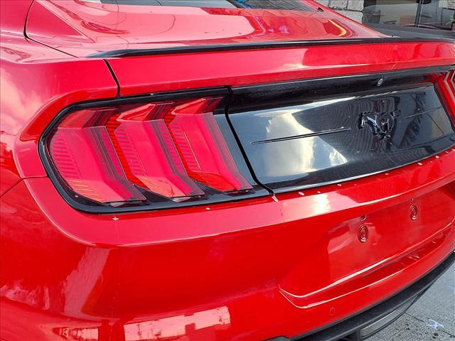 used 2019 Ford Mustang car