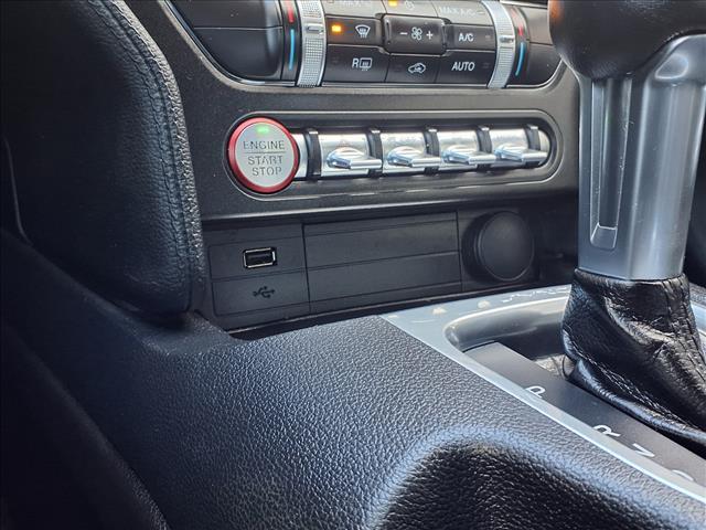 used 2019 Ford Mustang car