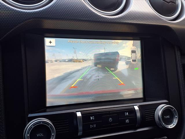 used 2019 Ford Mustang car