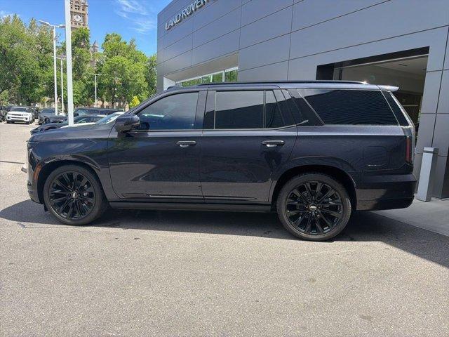 used 2025 Cadillac Escalade car, priced at $122,077