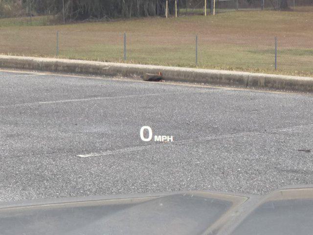 used 2022 Kia Telluride car, priced at $34,334