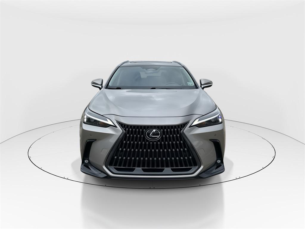 used 2025 Lexus NX 250 car, priced at $39,622