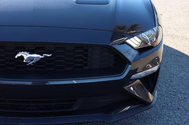 used 2022 Ford Mustang car, priced at $25,990