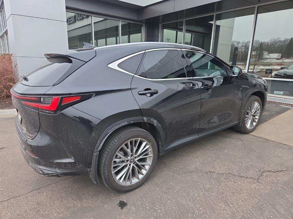 used 2024 Lexus NX 350 car, priced at $48,999