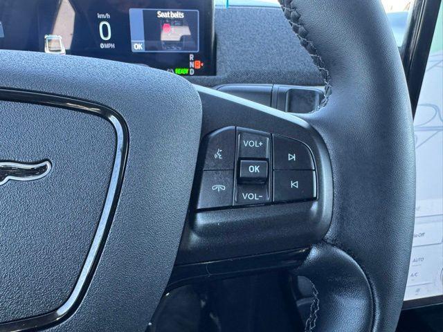 used 2025 Ford Mustang Mach-E car, priced at $39,814