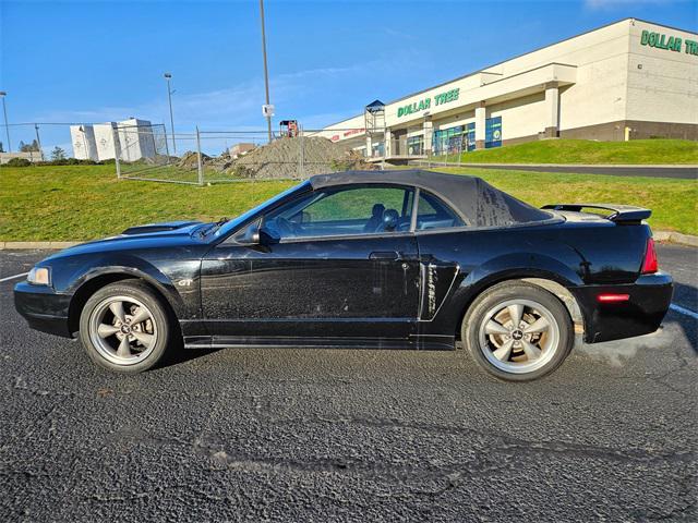 used 2002 Ford Mustang car