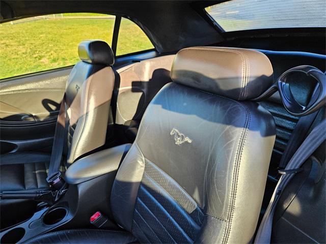 used 2002 Ford Mustang car