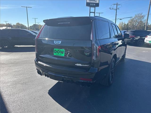 used 2024 Cadillac Escalade car, priced at $130,629