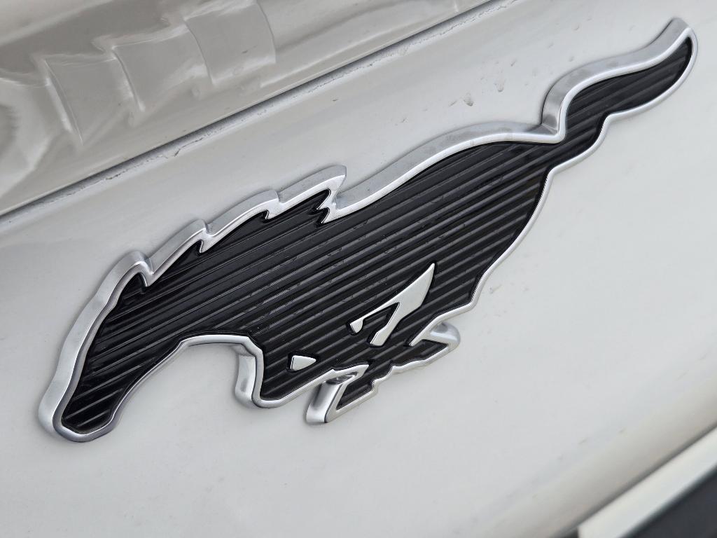 new 2026 Ford Mustang Mach-E car