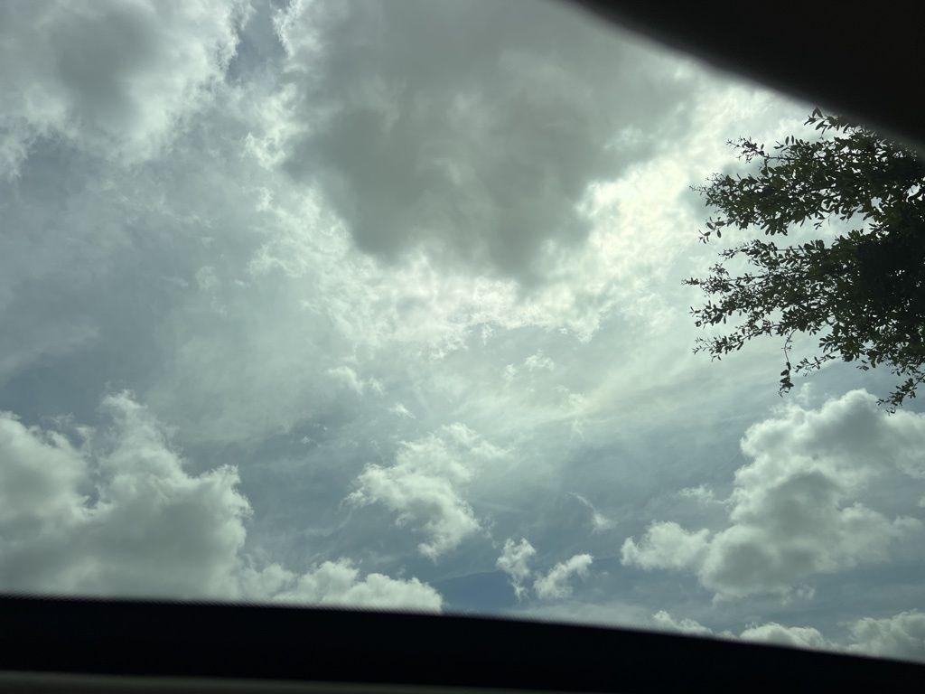 used 2019 Ford EcoSport car, priced at $12,957