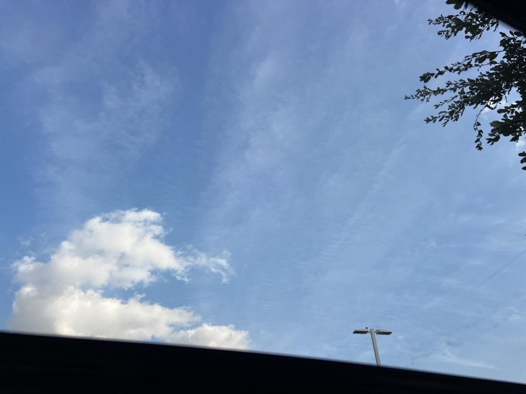 new 2025 Honda Accord car, priced at $31,755