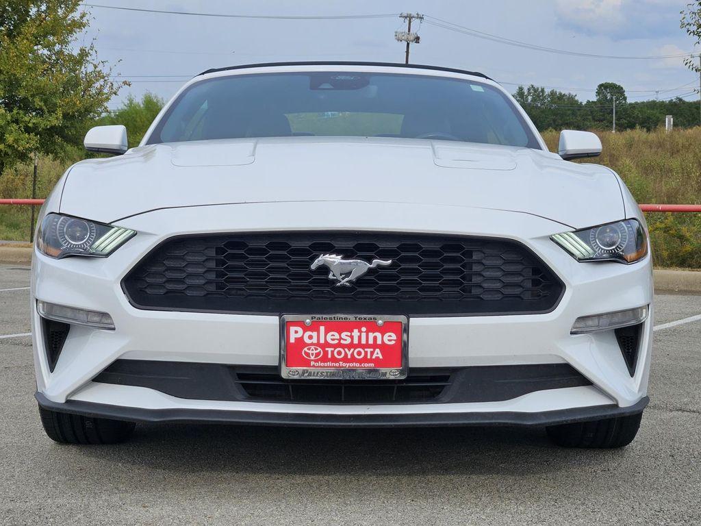 used 2023 Ford Mustang car, priced at $22,586