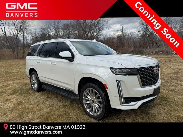 used 2023 Cadillac Escalade car, priced at $61,800